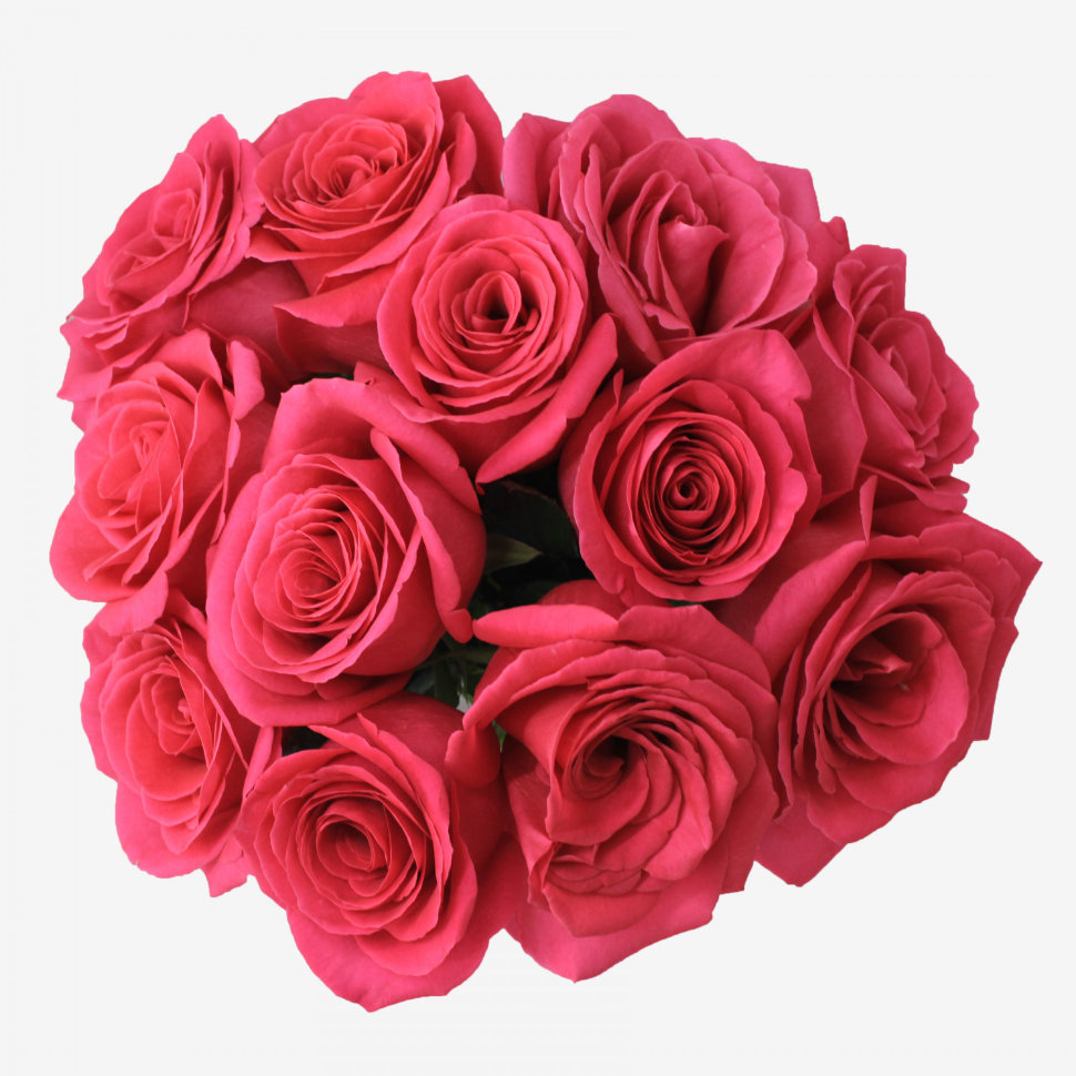 12 Pink Floyd Roses Bouquet