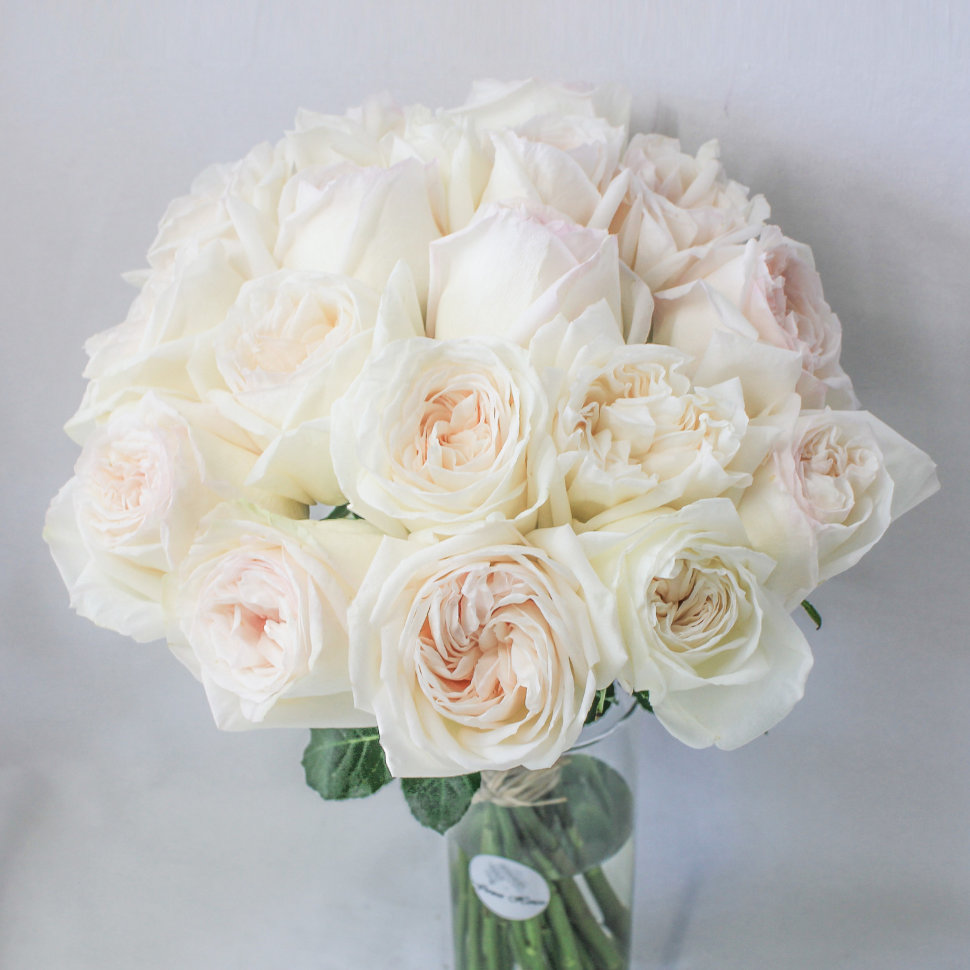 18 White O'hara Garden Roses Bouquet