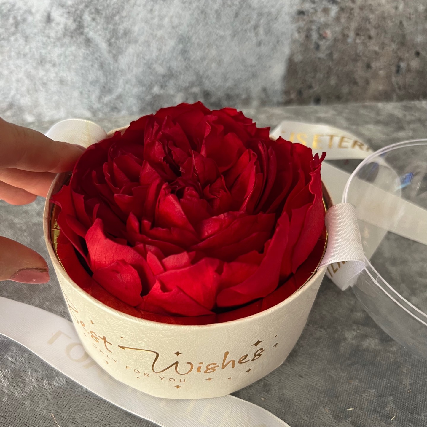 Preserved Red Peony in Acrylic Gift Box
