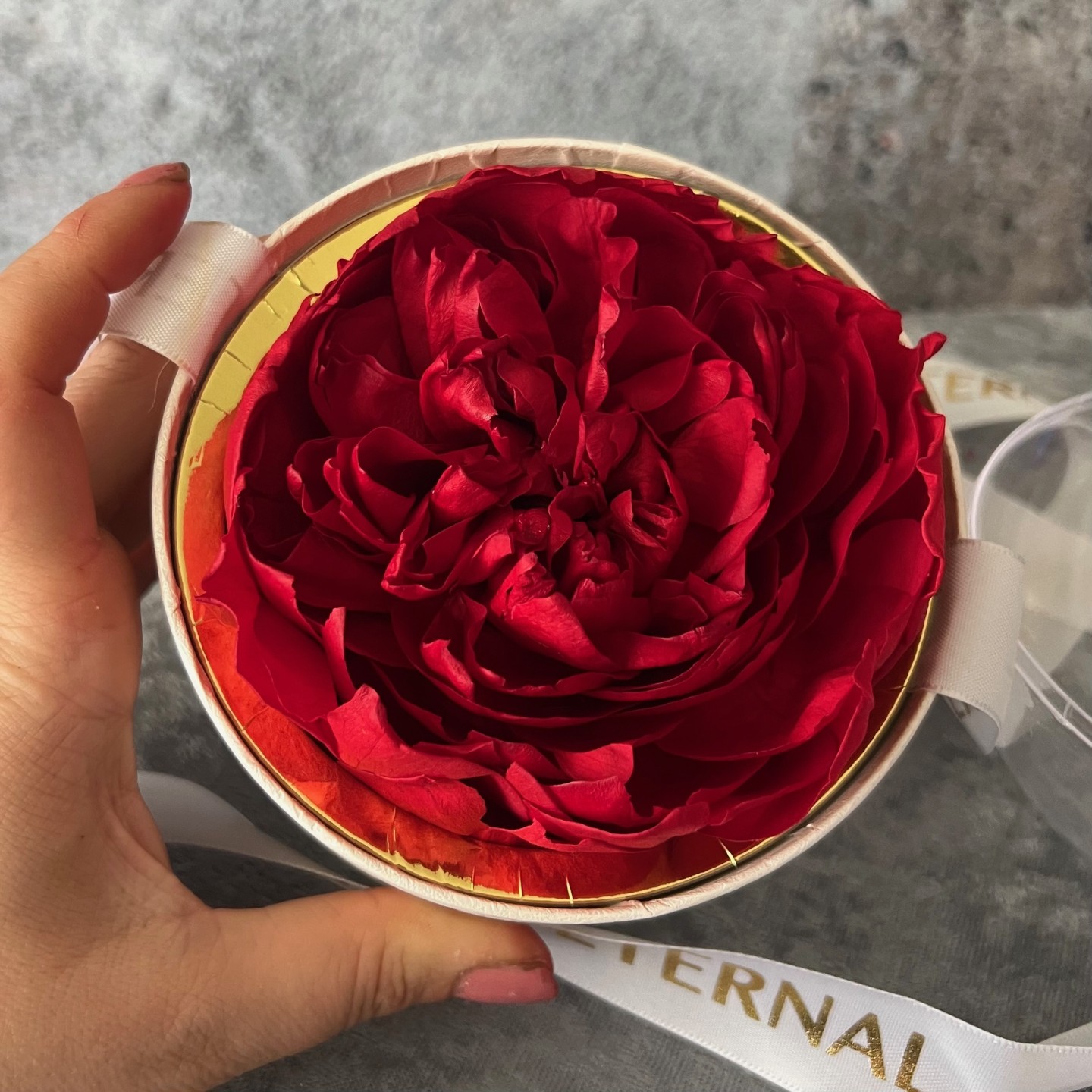 Preserved Red Peony in Acrylic Gift Box