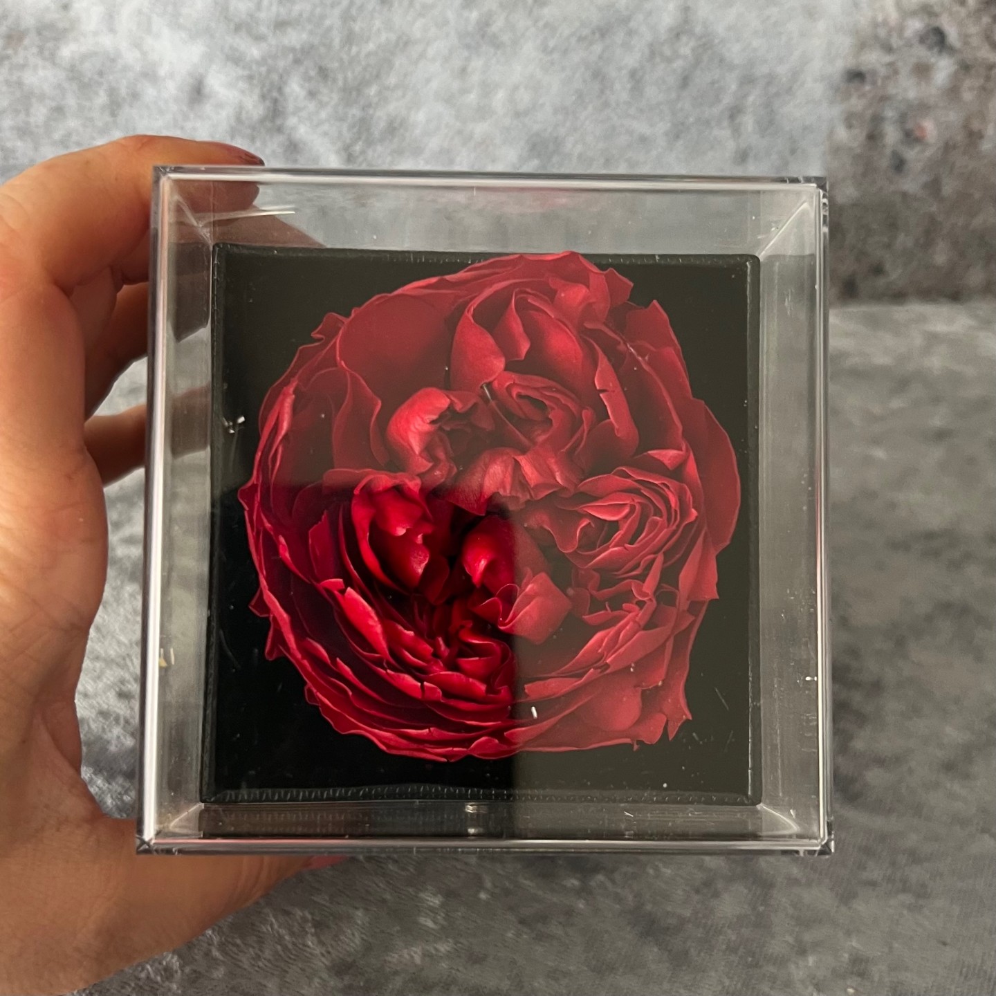 Preserved Peony Gift Box
