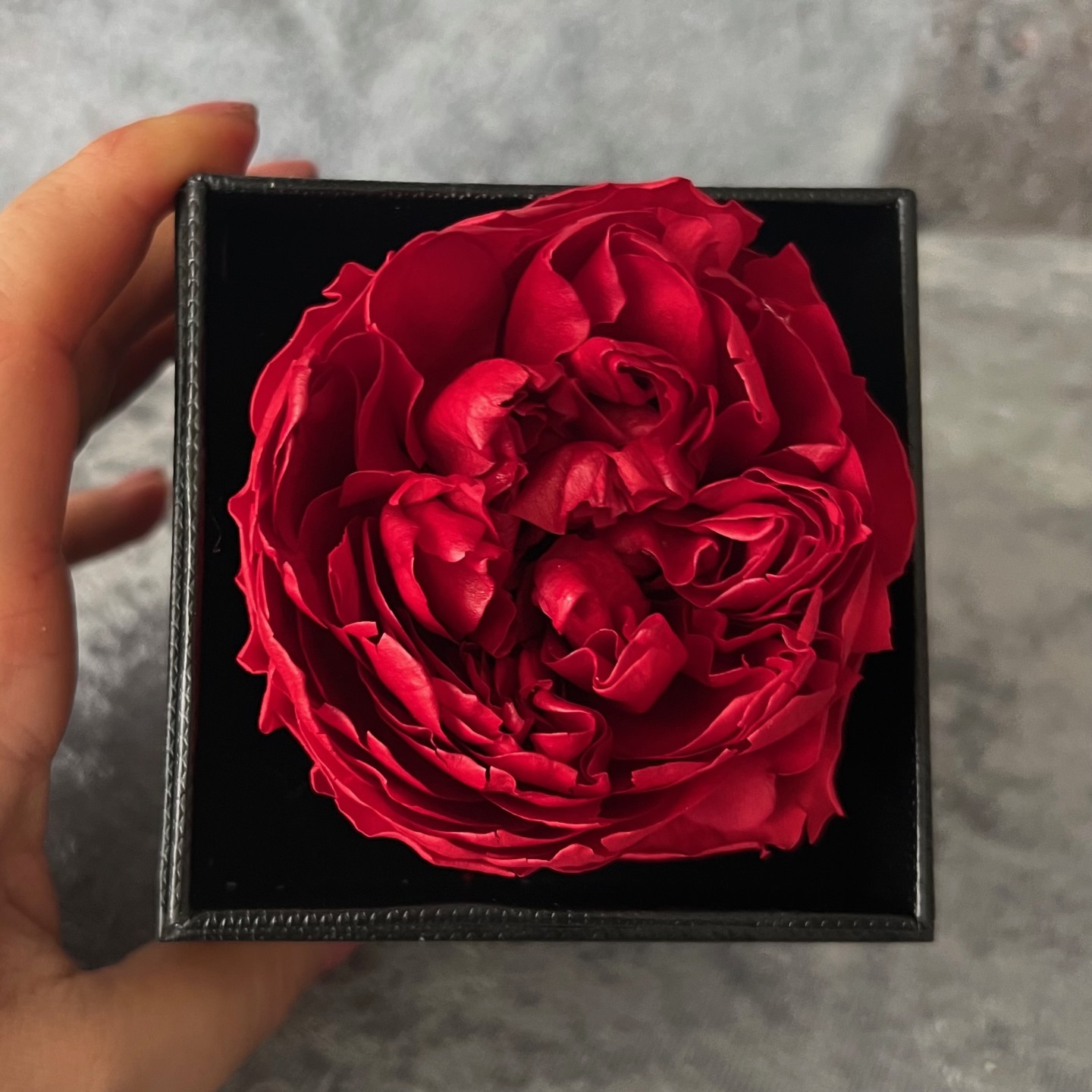 Preserved Peony Gift Box