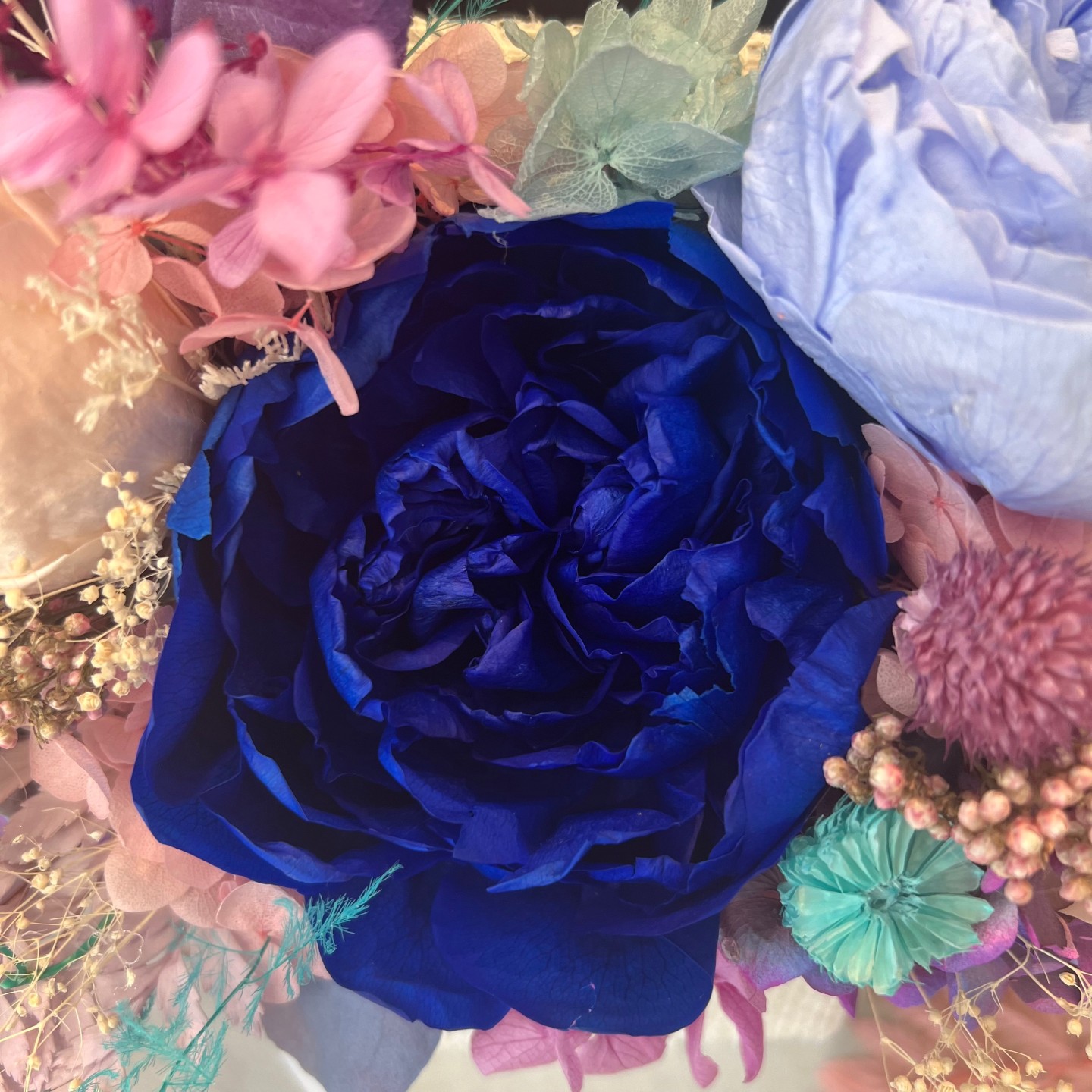 LIZA collection Preserved blue peonies box