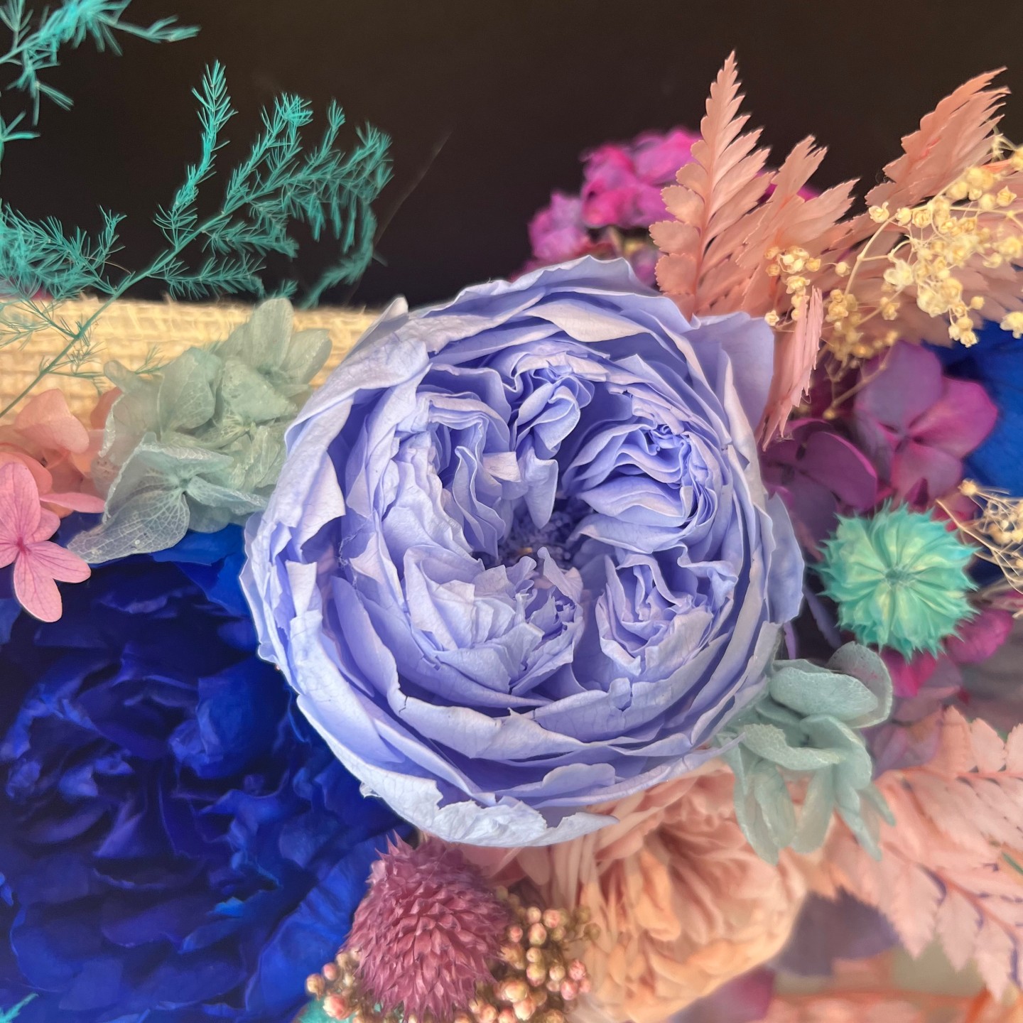 LIZA collection Preserved blue peonies box