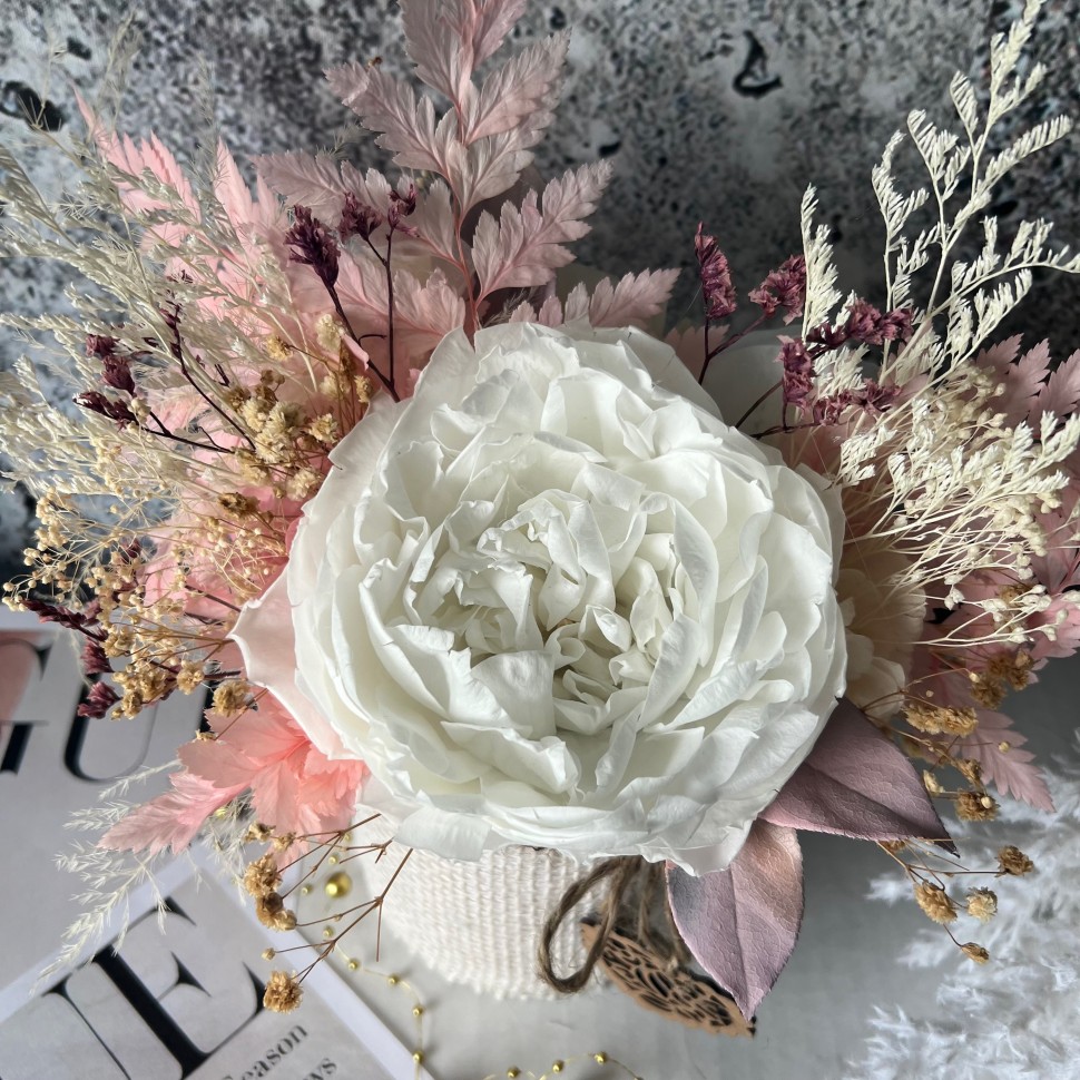 SALMA collection preserved peony with pink fern