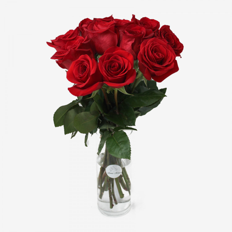 12 Red Freedom Roses Bouquet