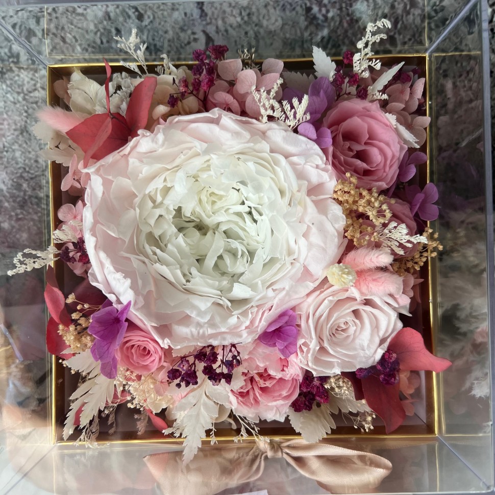 MILA collection Preserved peony in Acrylic box