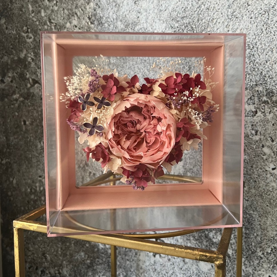 MILA collection Preserved peony in Acrylic box