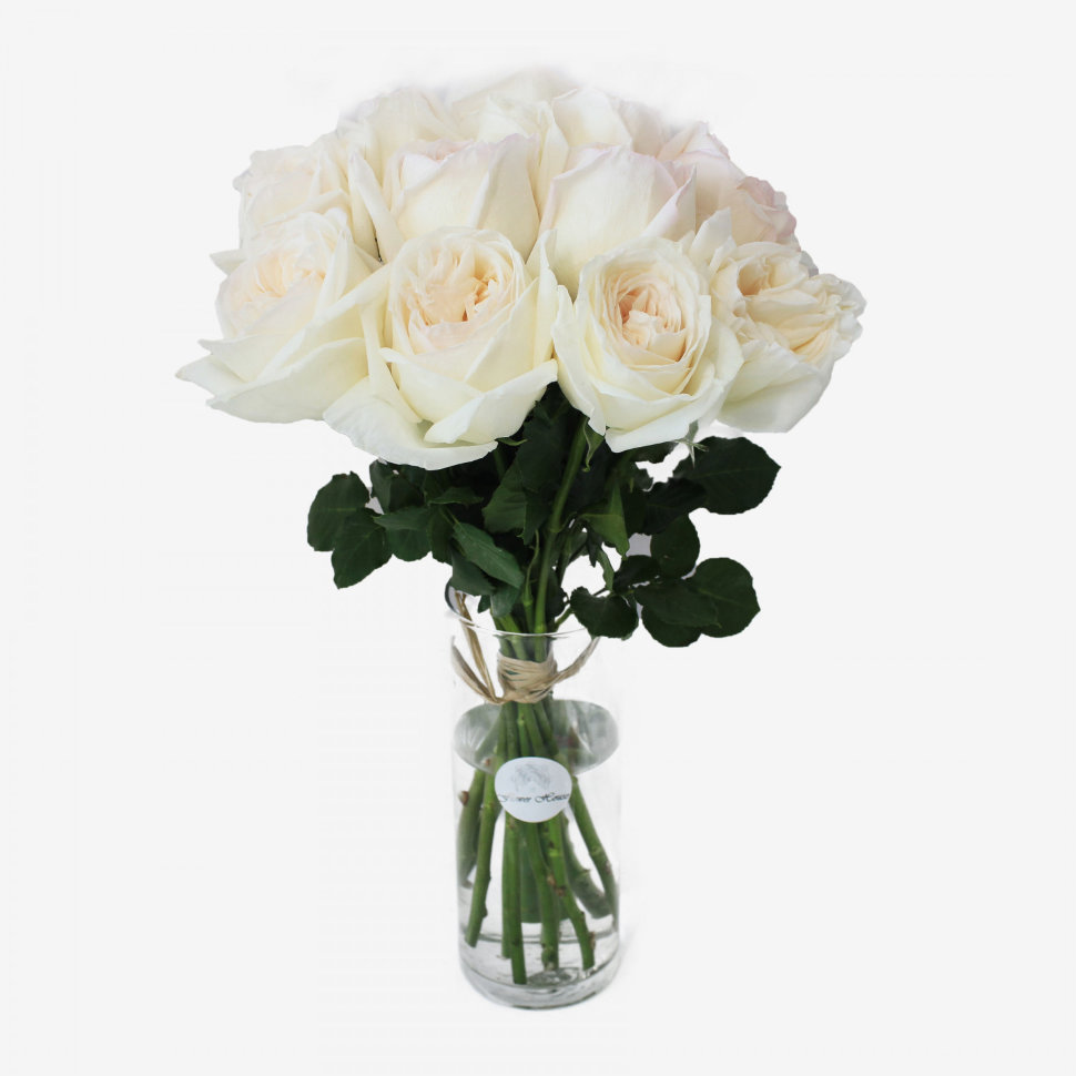 12 White O'hara Garden Roses Bouquet