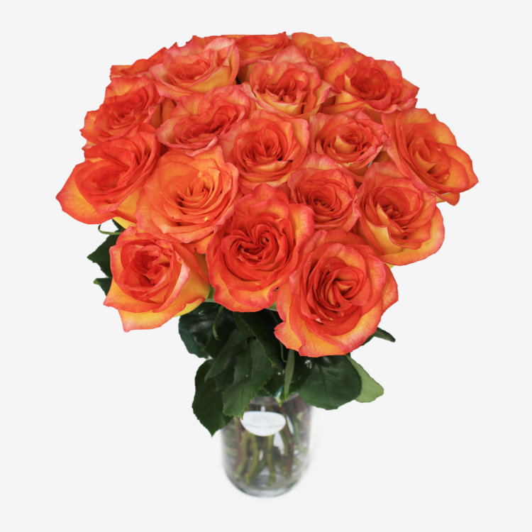 18 Orange Roses Bouquet