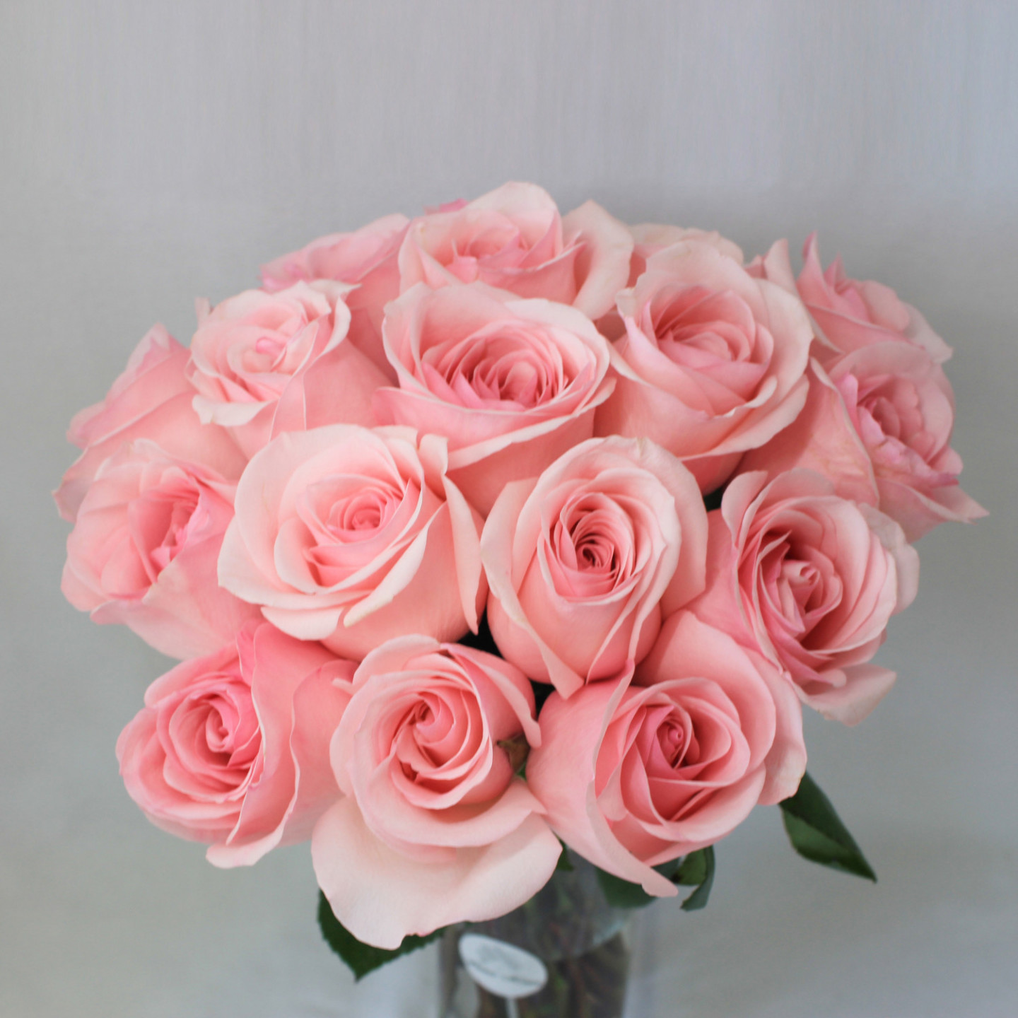 18 Novia Light Pink Roses Bouquet