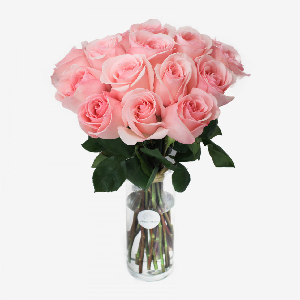 18 Novia Light Pink Roses Bouquet