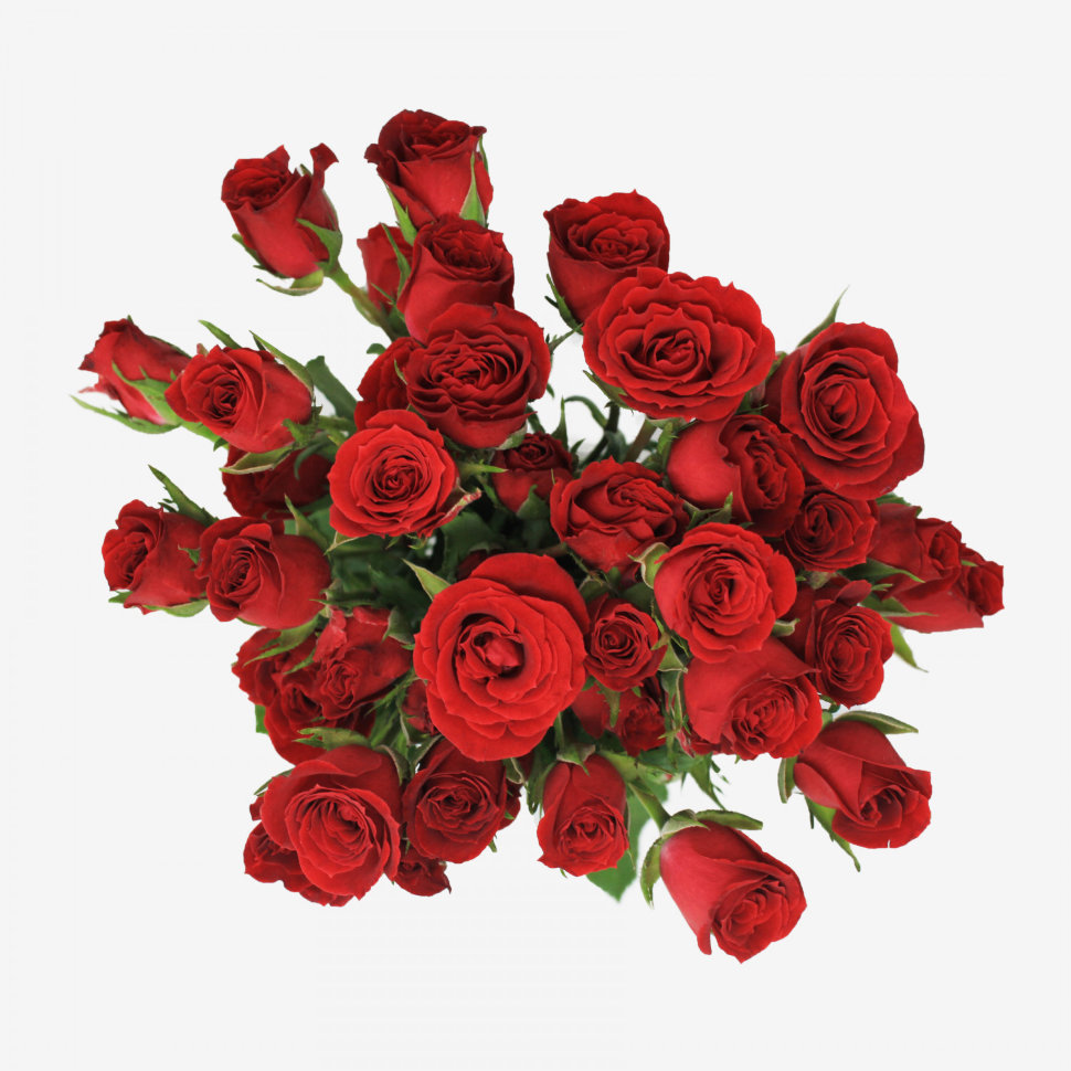 Mikado Red Spray Rose Flower Bouquet (10 stems)