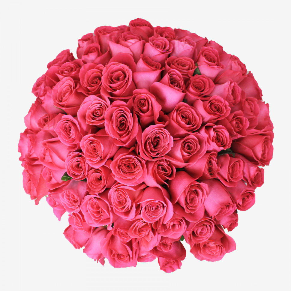75 Pink Floyd Roses Bouquet