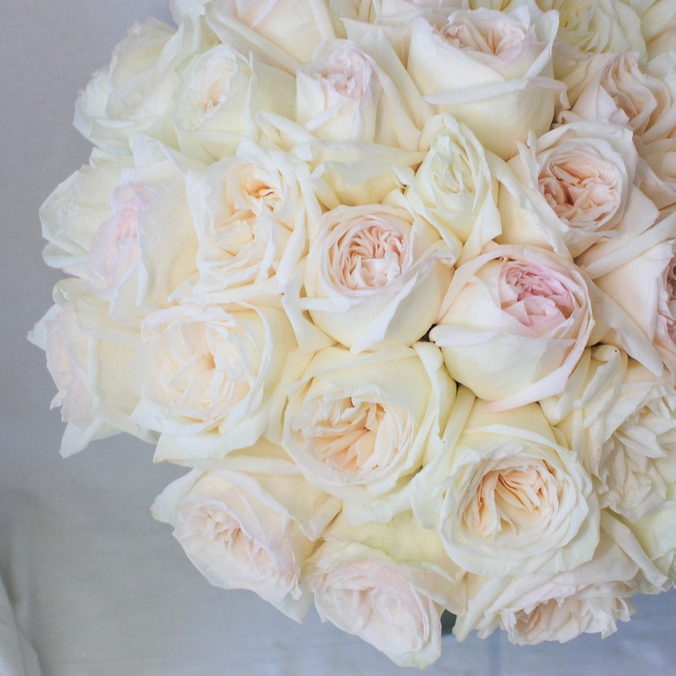 36 White O'hara Garden Roses Bouquet