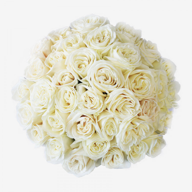 36 White Playa Blanca Rose Bouquet