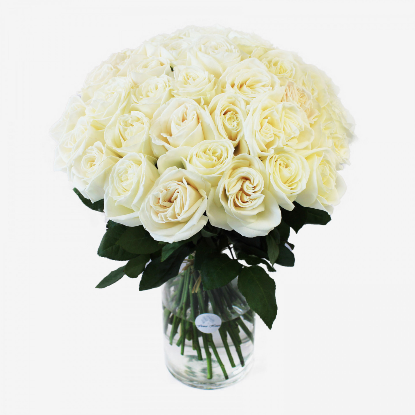 36 White Playa Blanca Rose Bouquet
