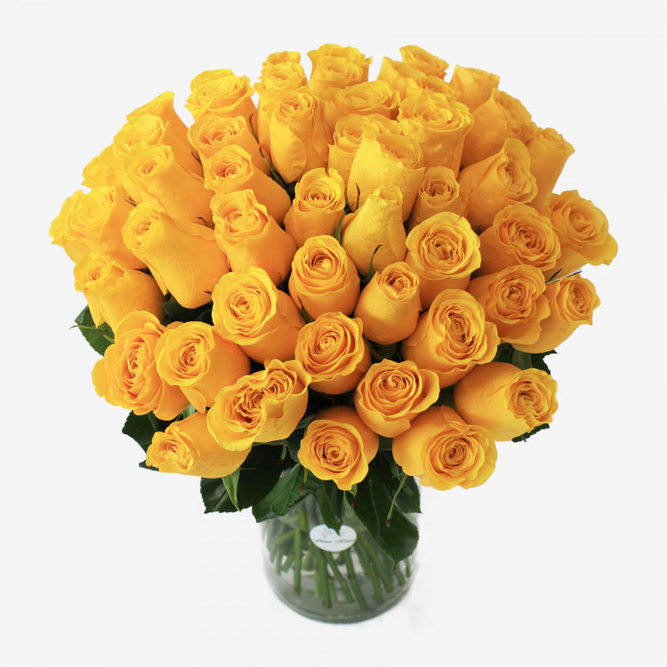 50 Bikini Yellow Roses Bouquet