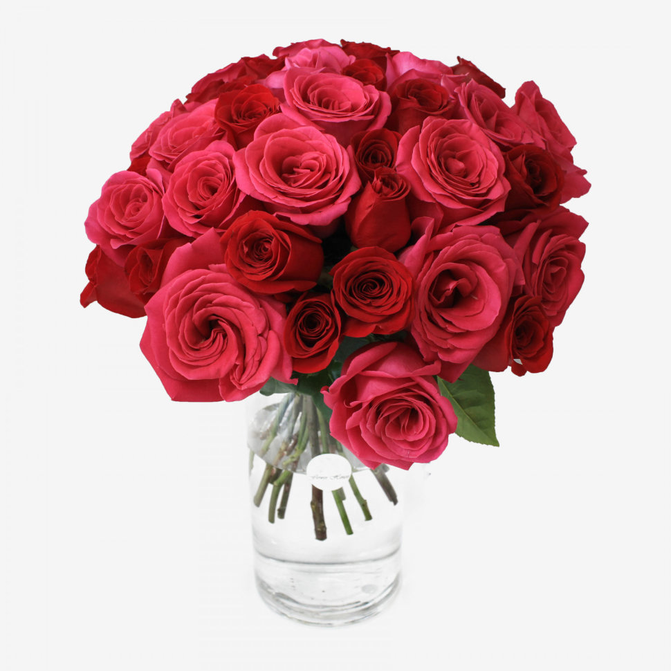 36 Red Freedom & Pink Floyd Roses Bouquet