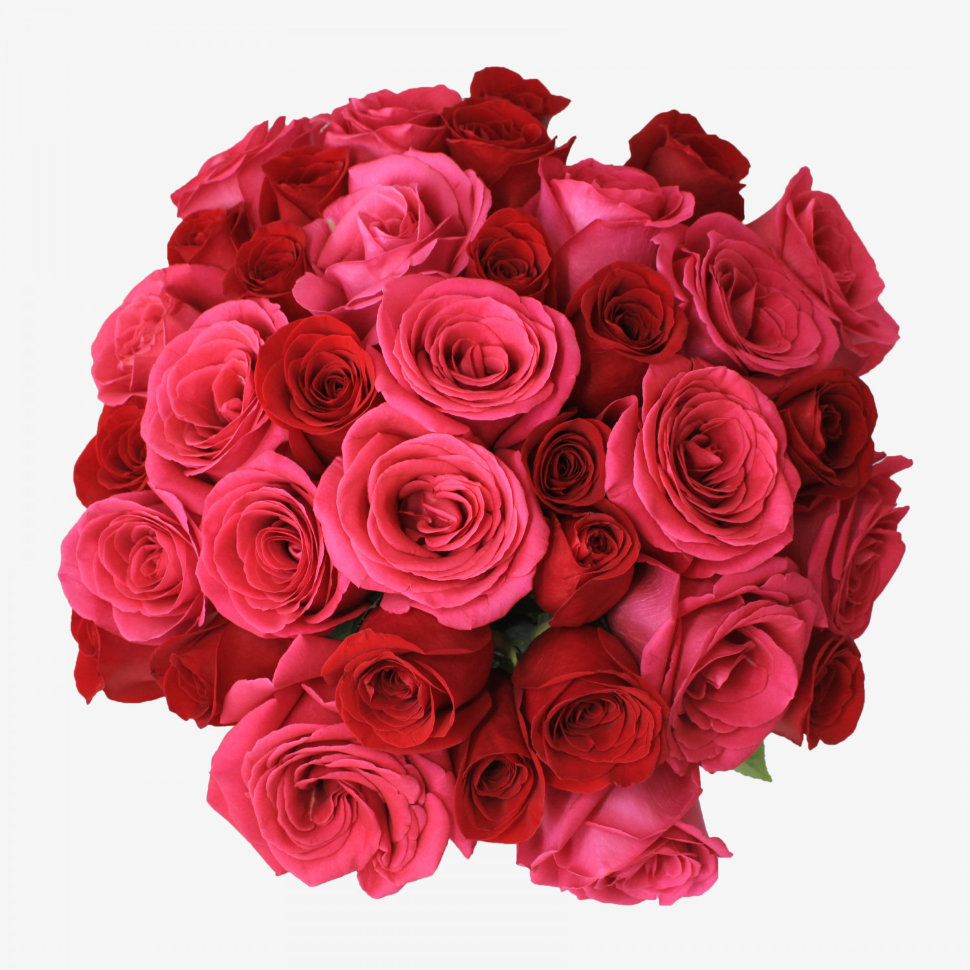 36 Red Freedom & Pink Floyd Roses Bouquet