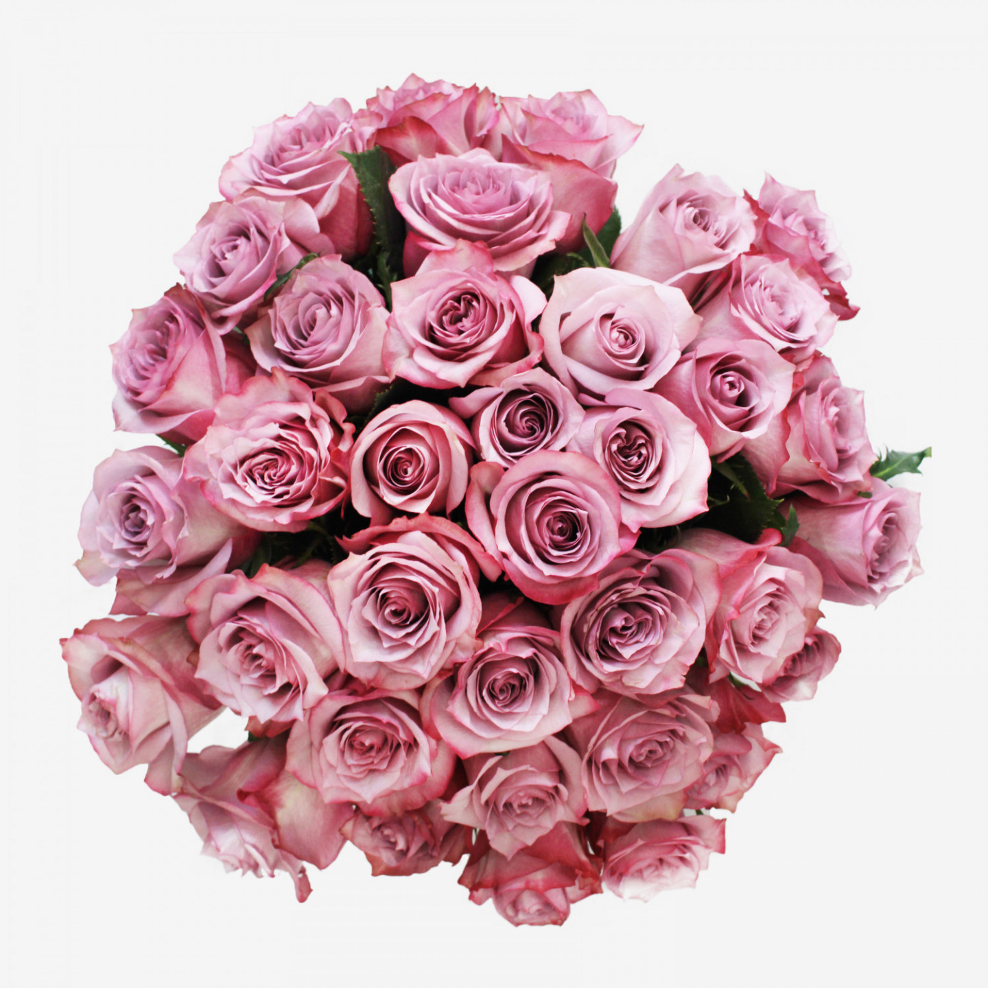 36 Deep Purple Roses Bouquet