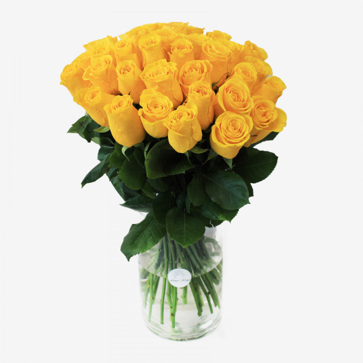 36 Bikini Yellow Roses Bouquet