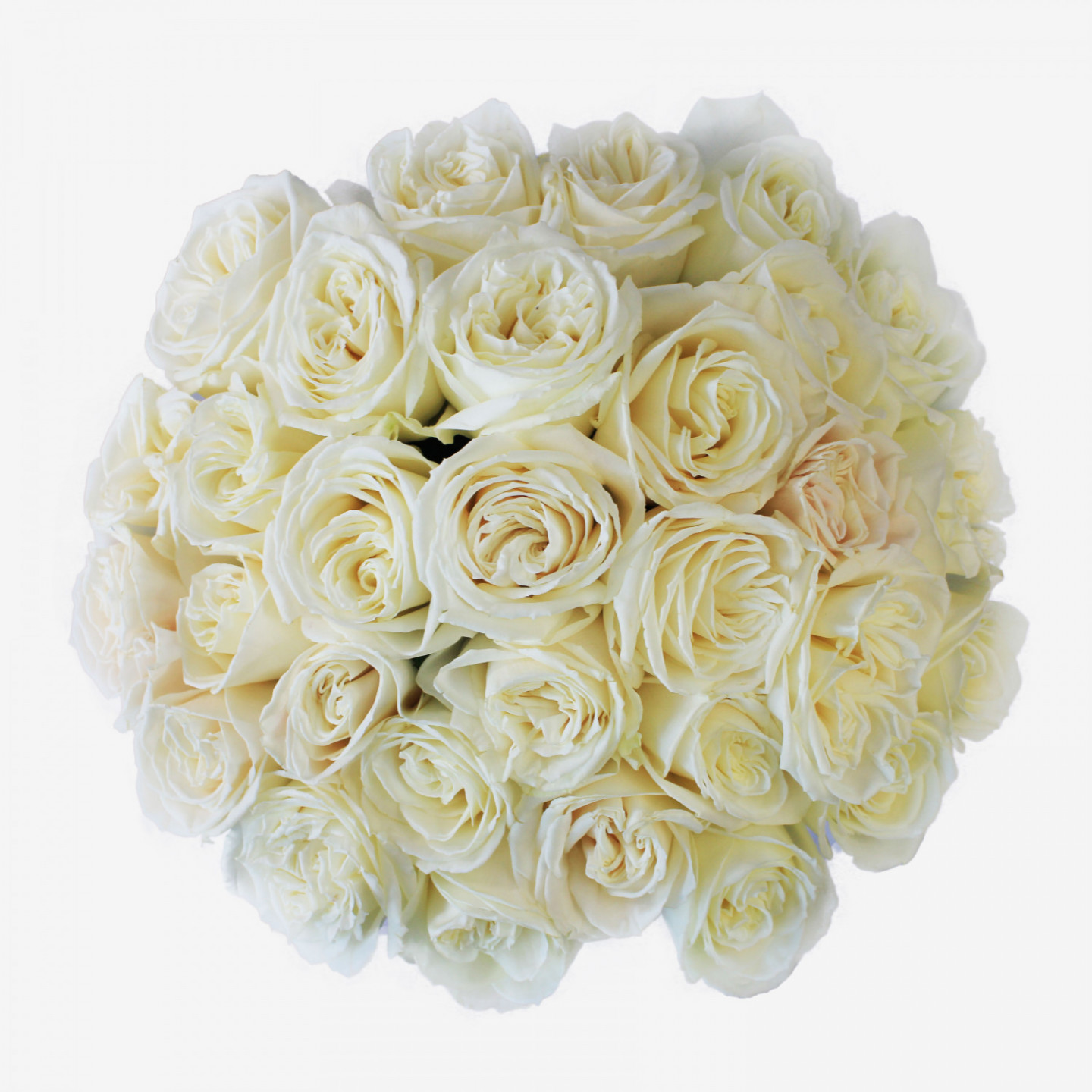 30 White Playa Blanca Rose Bouquet