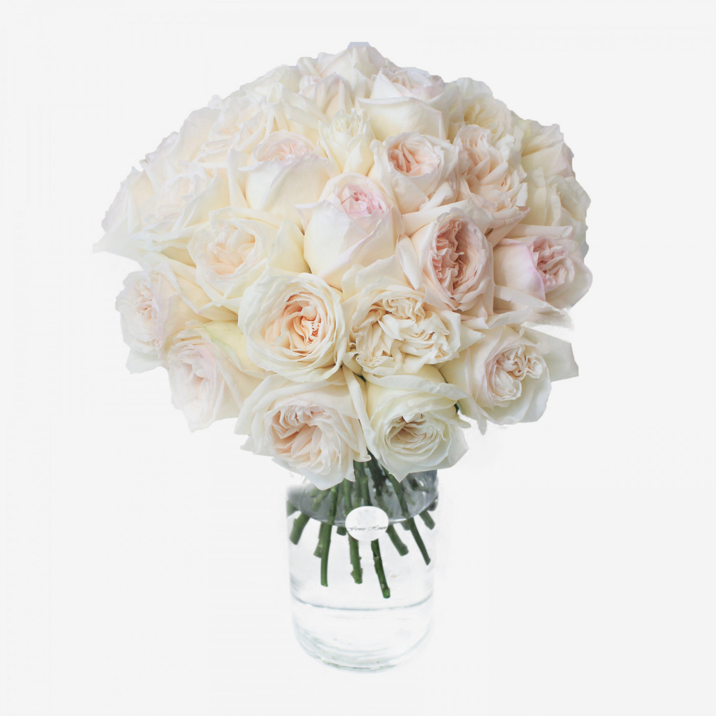 30 White O'hara Garden Roses Bouquet
