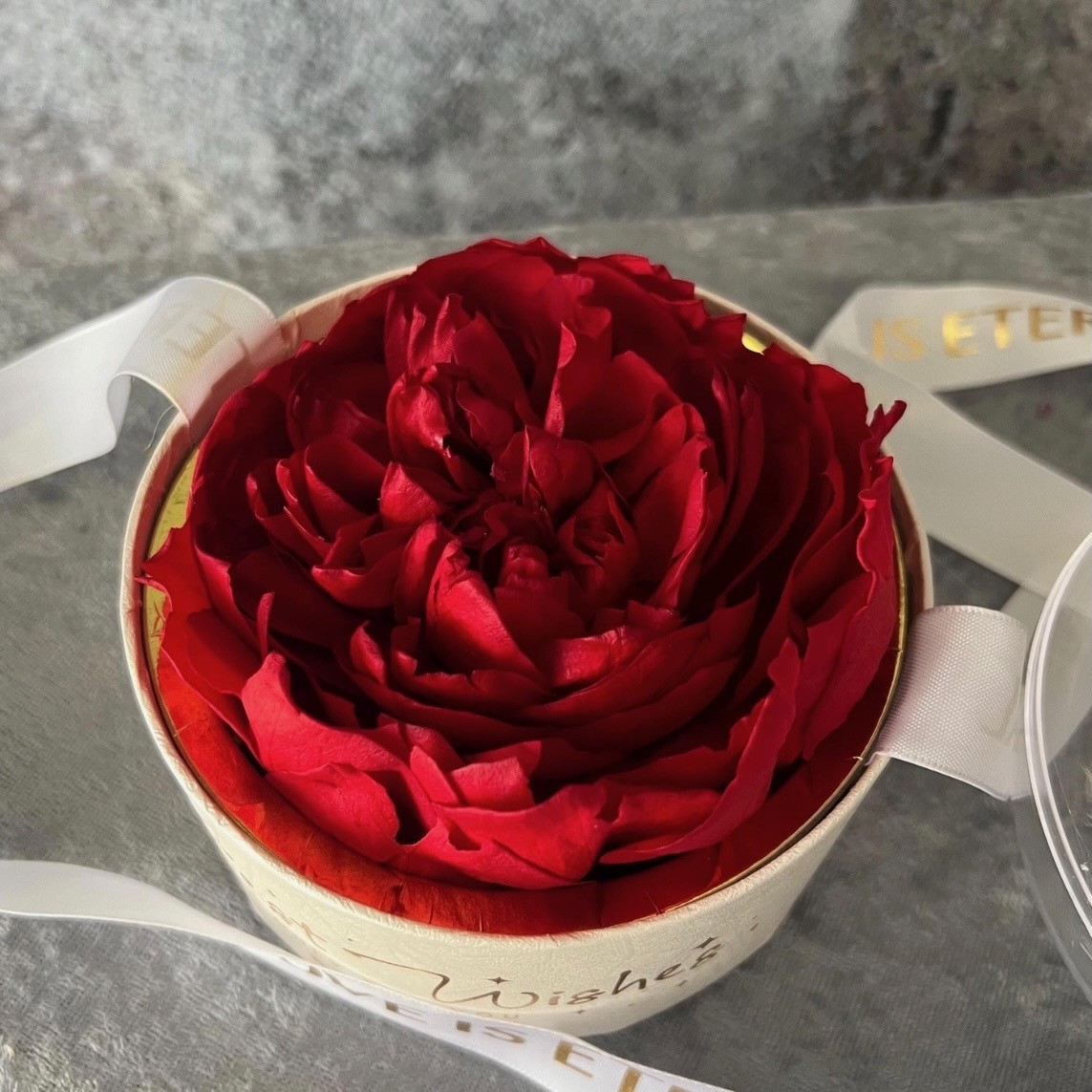 Preserved Peony Dome in Acrylic ORB Preserved Peony Dome in Acrylic ORB