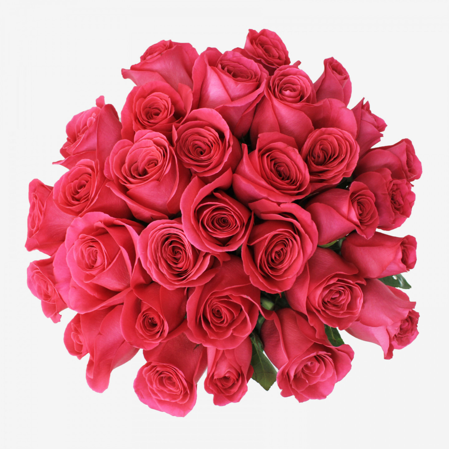 30 Pink Floyd Roses Bouquet