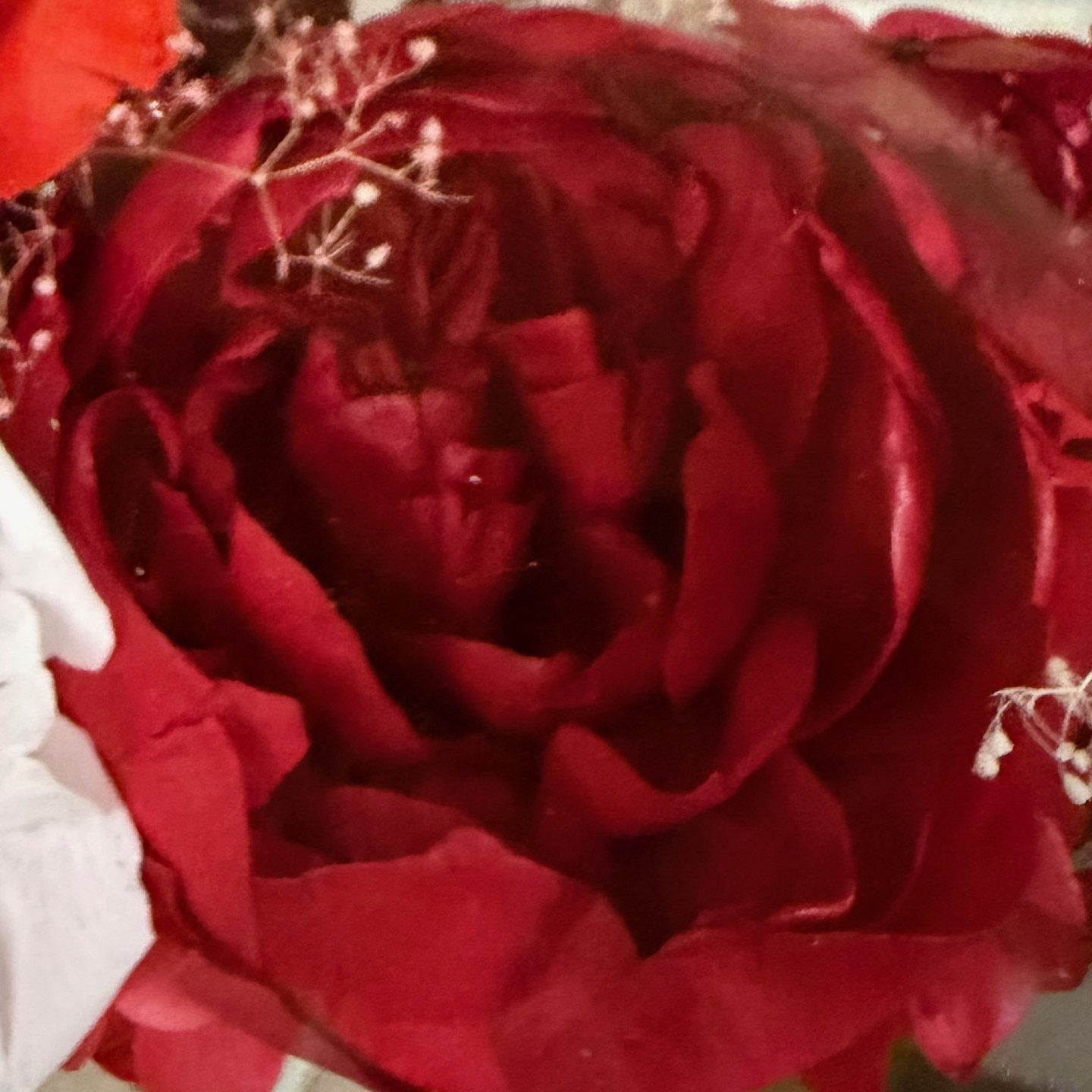 Luxury Acrylic Floral Handbag with Preserved Peony 