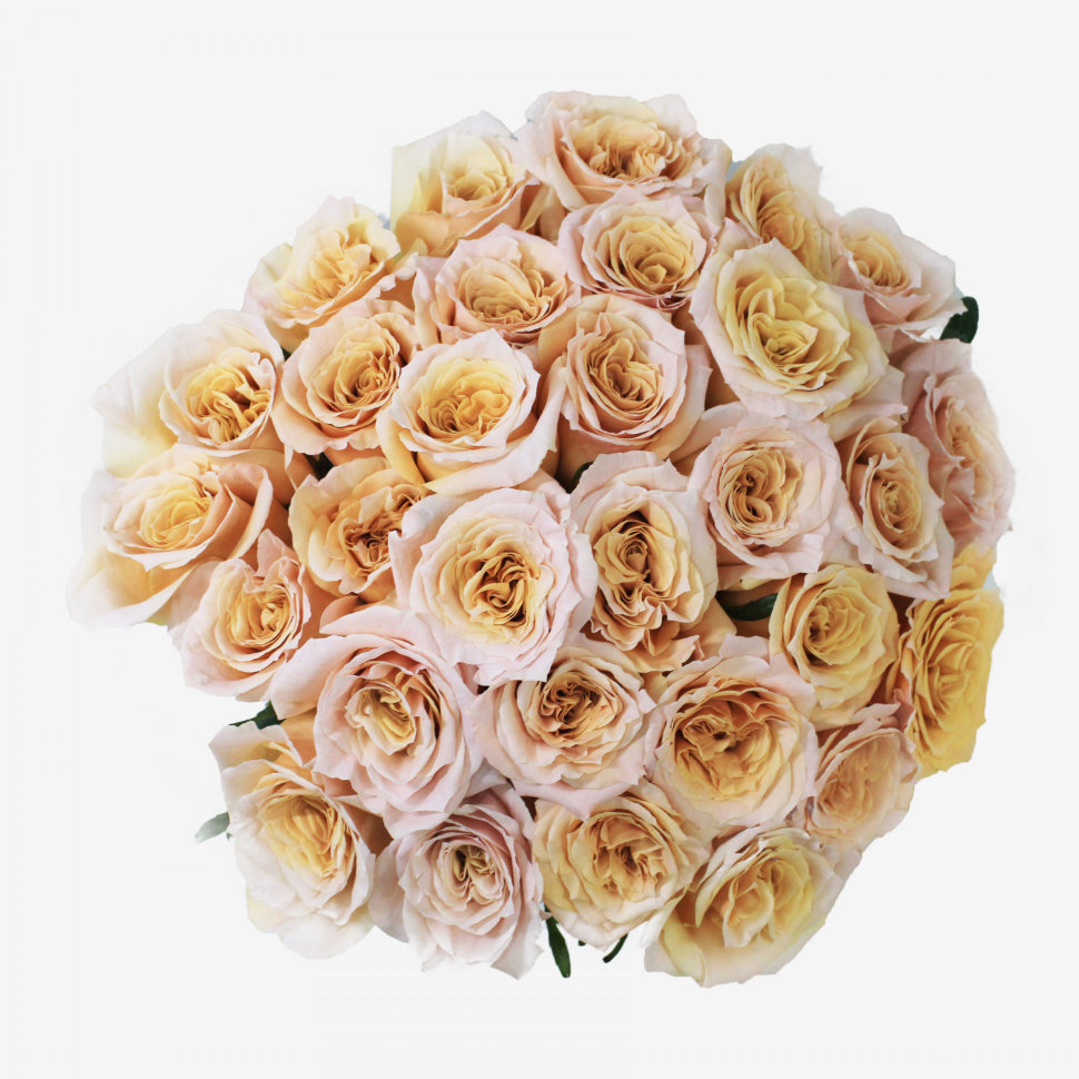 30 Peach Shimmer Rose Bouquet