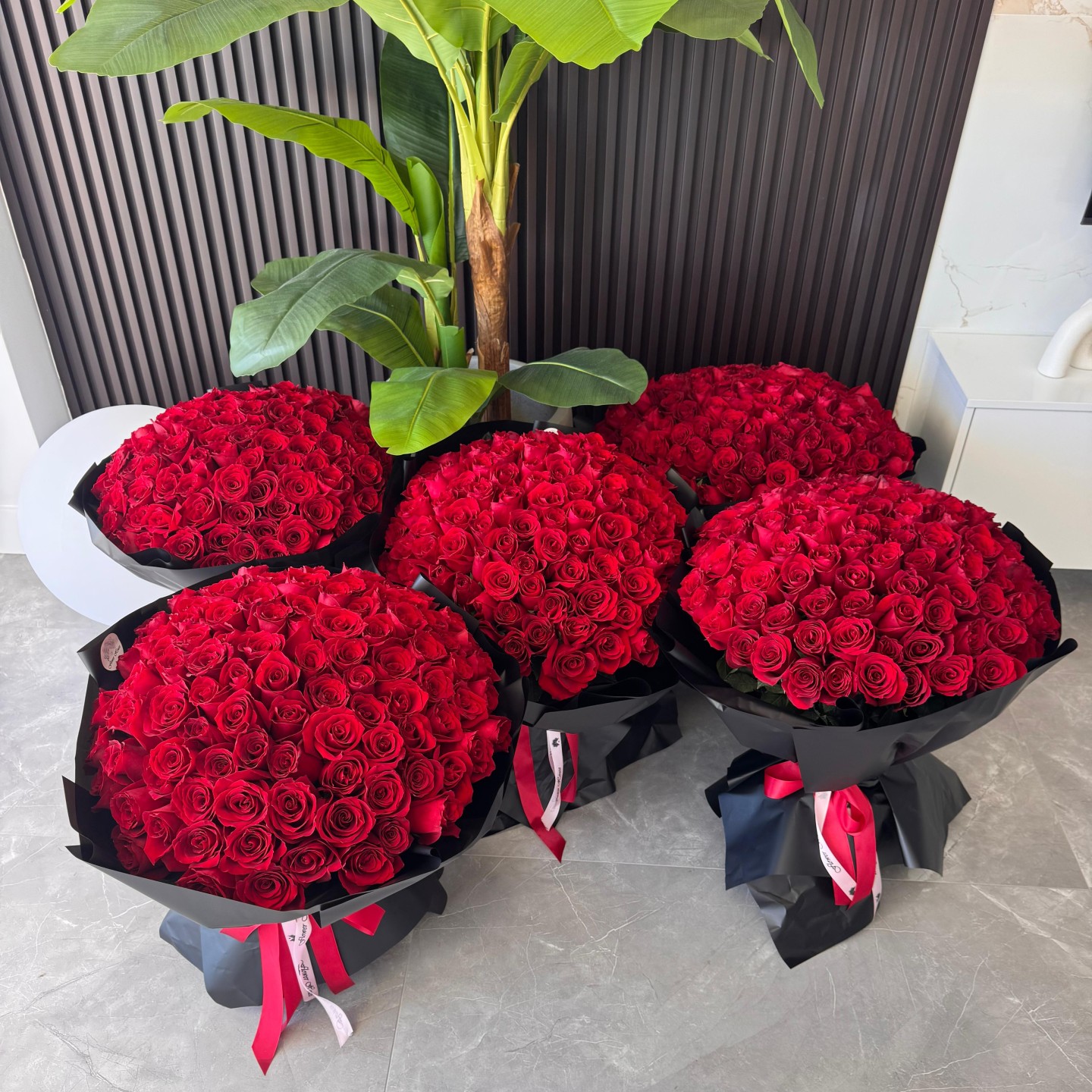 The Royal 550 Rose Collection with 5 Luxury Vases