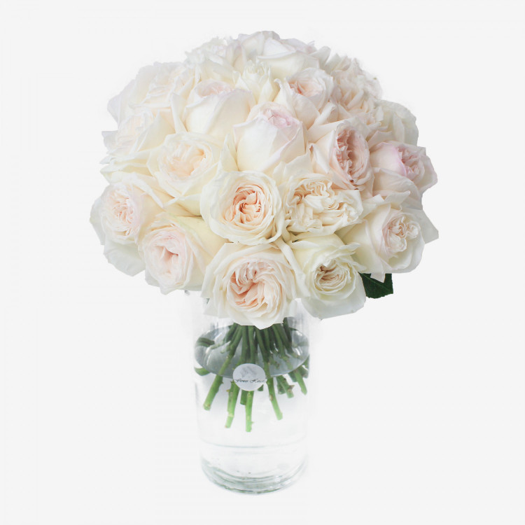 25 White O'hara Garden Roses Bouquet