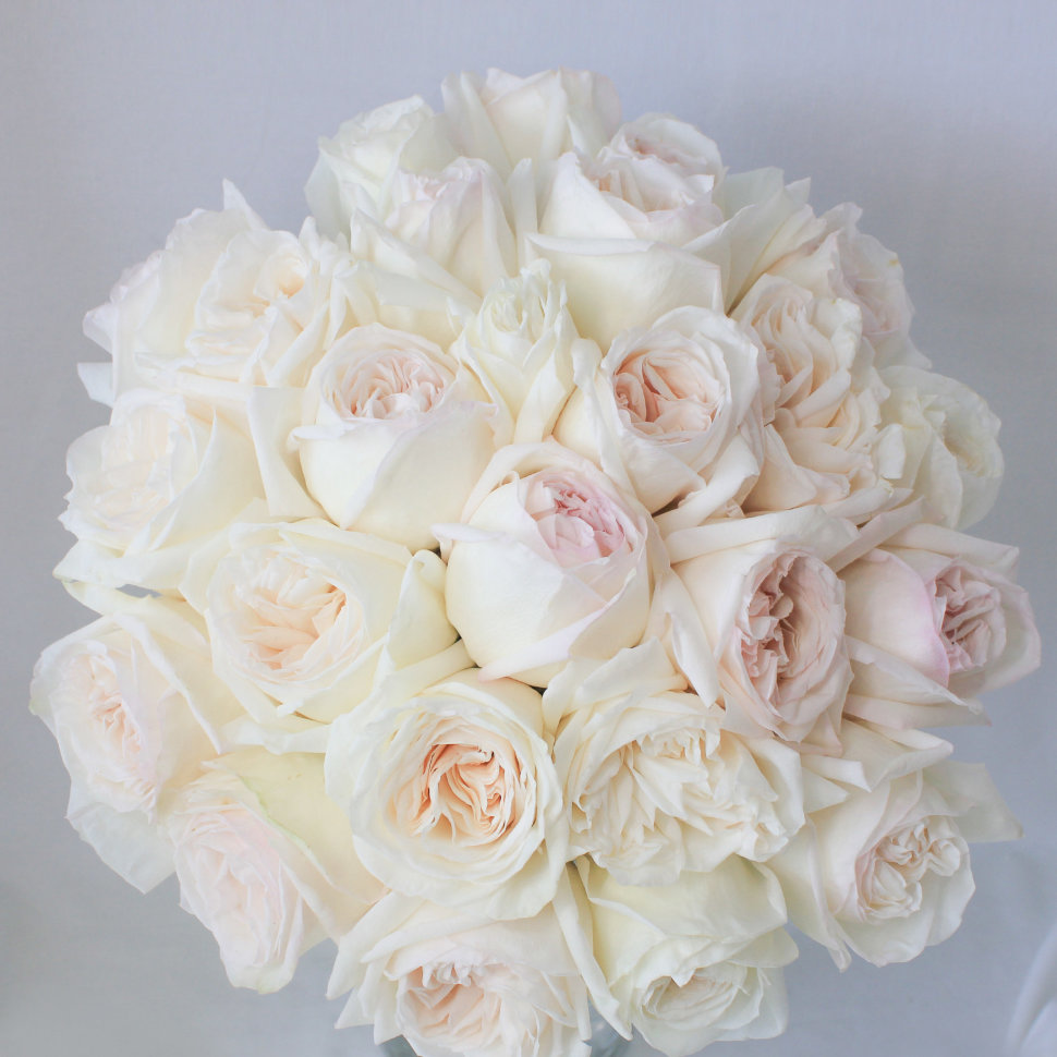 25 White O'hara Garden Roses Bouquet