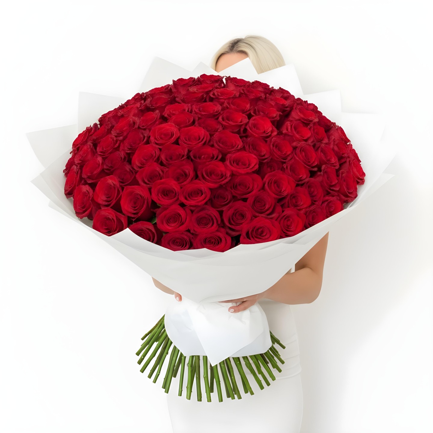 150 Roses Hand-Tied Bouquet (Red, Hot Pink, Light Pink, White)