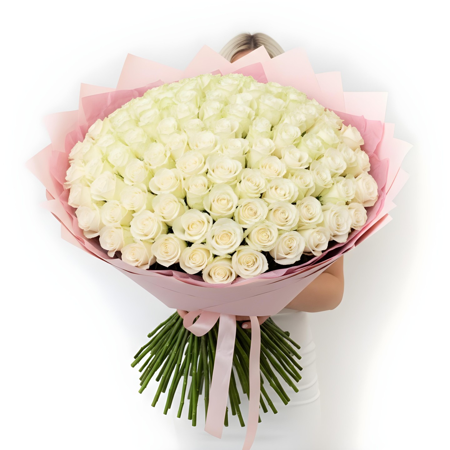 150 Roses Hand-Tied Bouquet (Red, Hot Pink, Light Pink, White)