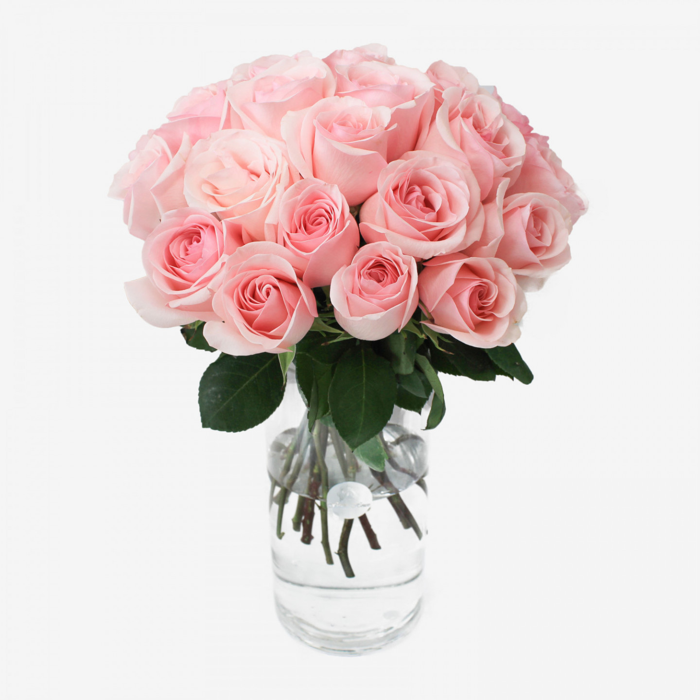 25 Novia Light Pink Roses Bouquet