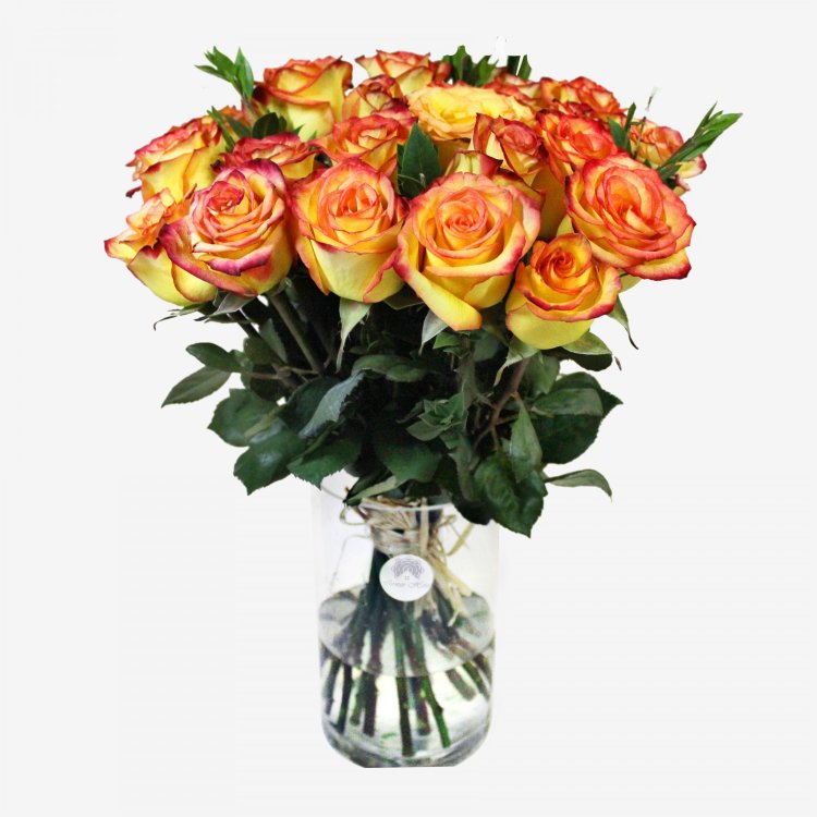 25 Orange Roses Bouquet