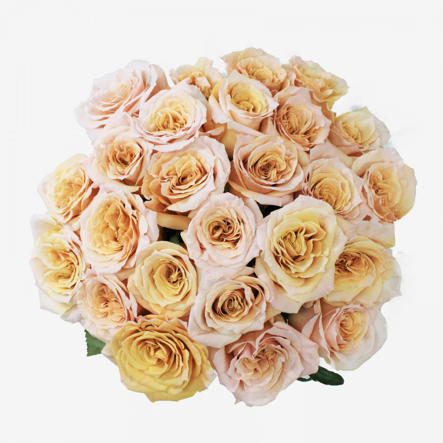 25 Peach Shimmer Rose Bouquet