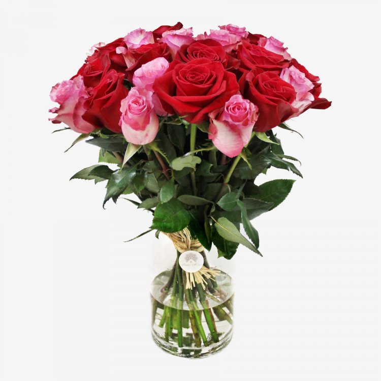 25 Freedom Red And Pink Floyd Roses Bouquet