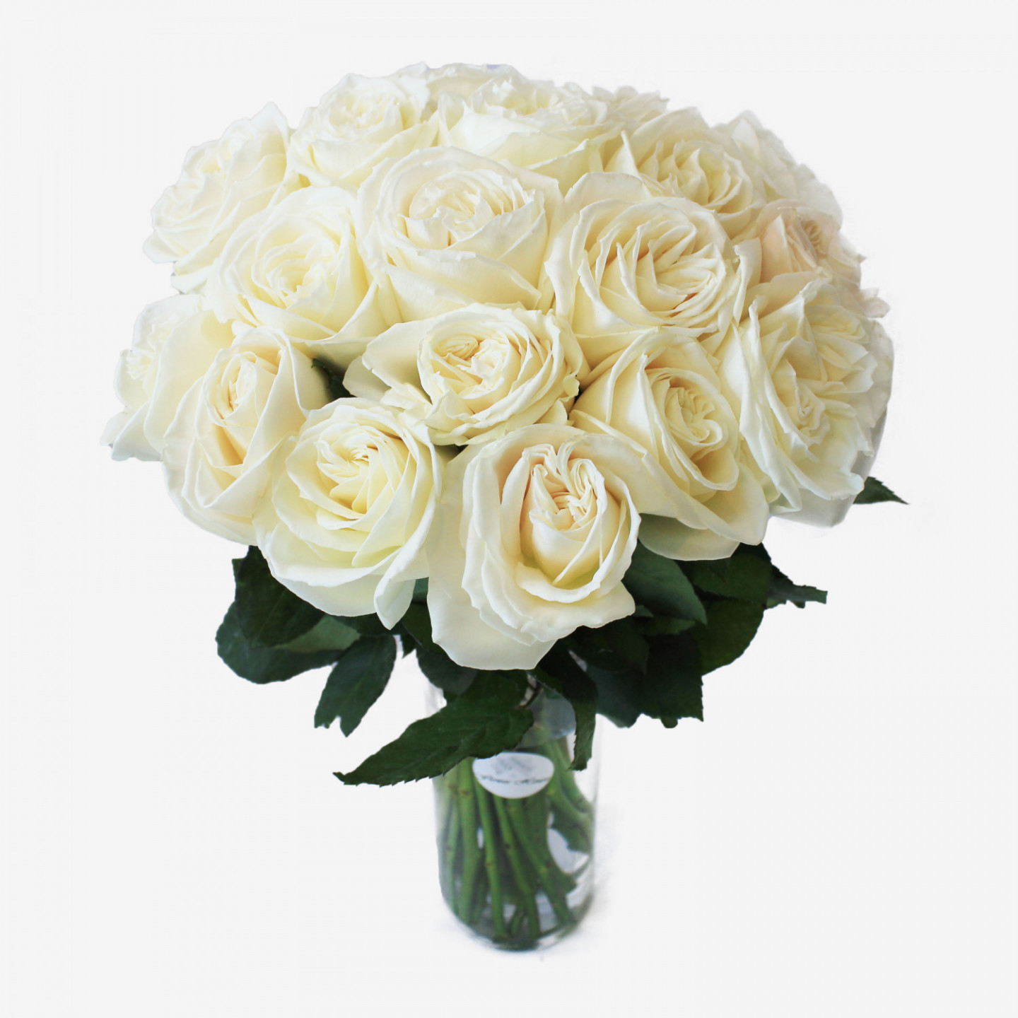 18 White Playa Blanca Rose Bouquet