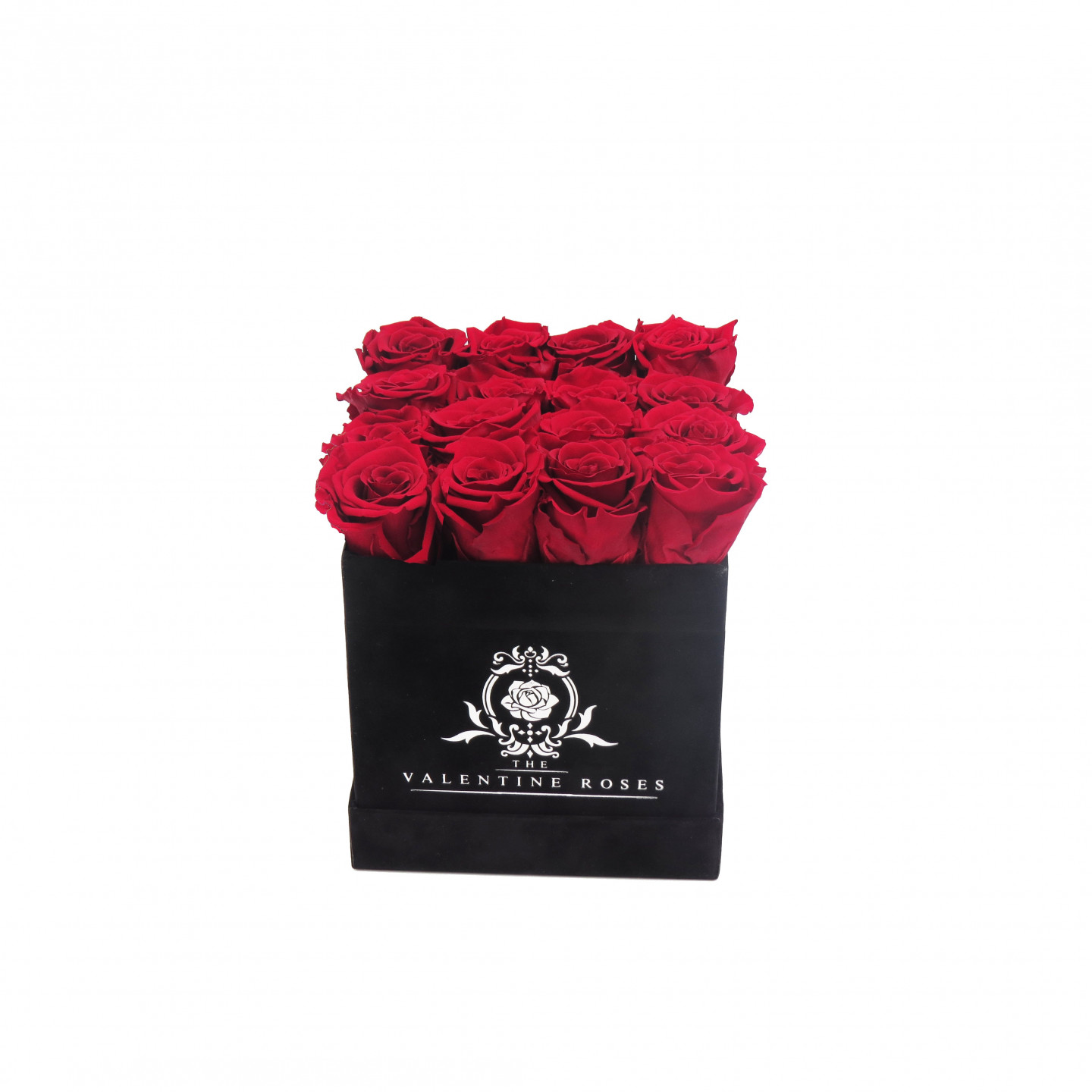 Long Lasting Roses in a Square Shaped Flower Box | 8" Large Sized | Black & White