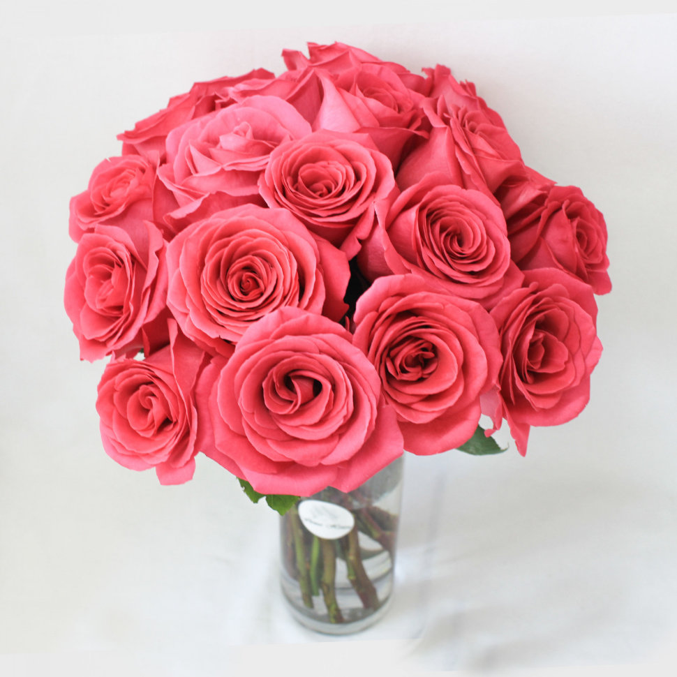 18 Pink Floyd Roses Bouquet