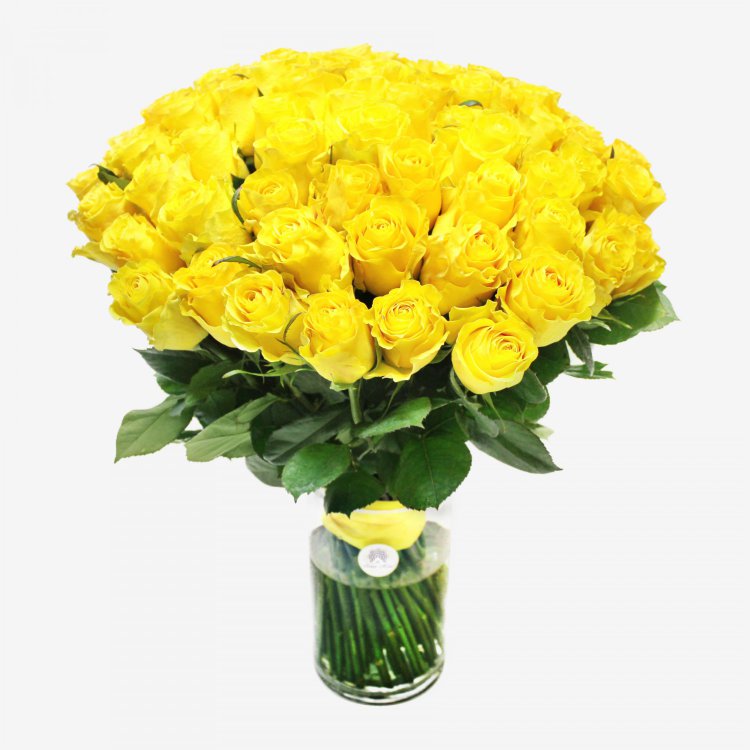 Yellow Rose Bouquet 50/75/100/150 Roses