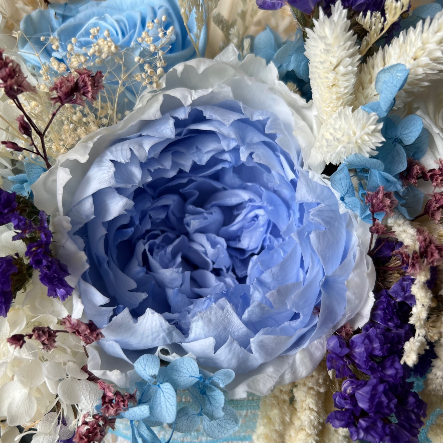 AVA Collection Blue Preserved Peony Box