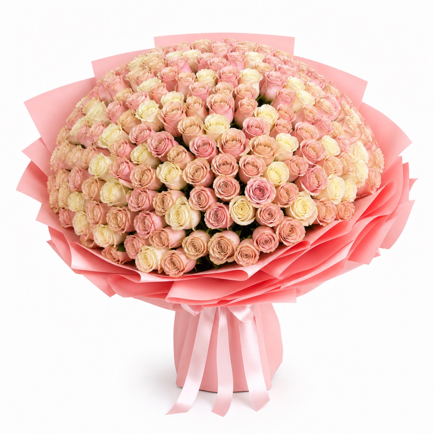 200 Pink & White Roses Grand Hand-Tied Bouquet 200 Pink & White Roses Grand Hand-Tied Bouquet