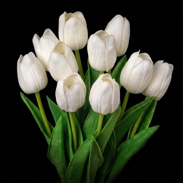 Tulip