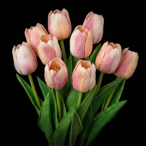 Tulip
