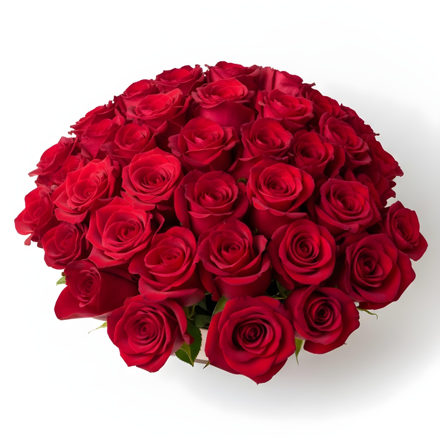 Eden Red Rose Flower Box